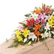 Lily Casket Spray - Mixed Colours 3ft